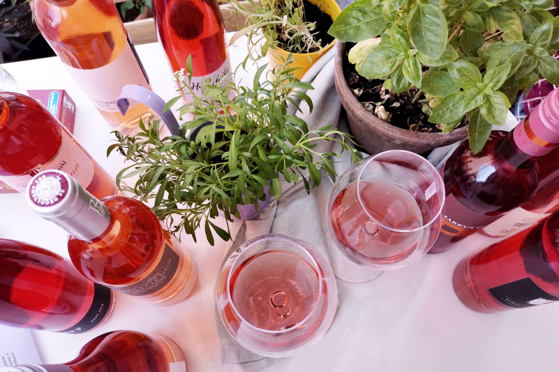 10x Rosé-Genuss für den Sommer 🍷 10x Rosé-Genuss für den Sommer 🍷